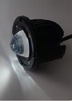 Exploradoras con lupa